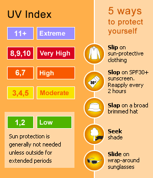Monitoring the UV Index