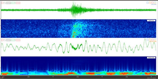 Waves and Quick Quake: Free Seismic Analysis Software